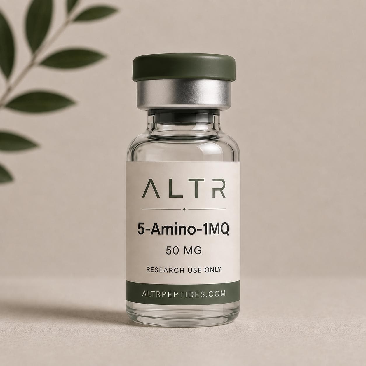 5-AMINO-1MQ 50MG
